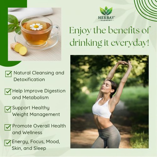 Herbay Harmony Organic Detox Tea – Caffeine-Free Herbal Cleanse for Bloating Relief, Digestive Tea & Natural Body Detox, Organic Herbal Blend with Ginger, Chamomile & Papaya (4 Pack (4‑Week Detox Kit)