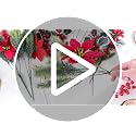Artificial Christmas Poinsettia Flowers Stem Picks - Red, Green, White Set of 20