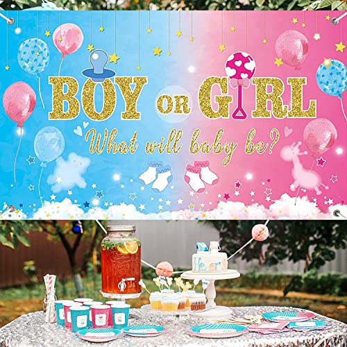 Gender Reveal Backdrop Boy or Girl Party Banner 6.1 x 3.6 Ft