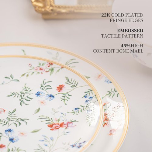 FHGNYSM Bone China Plates and Bowels,12-Pieces Dinnerware Sets, Highly Chip and Crack Resistant, Dishwasher & Microwave Safe Dishes Set, Dense and Translucence