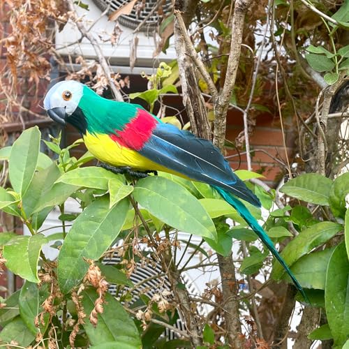 Lifelike Green Foam Feather Parrot - 25cm Shoulder Decor