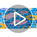 Vibrant Pool Party Table Cover - 2 Pack Hawaiian Tablecloths