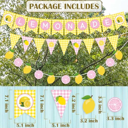 3PCS Pink Lemonade Banner Set – Summer Party Decorations