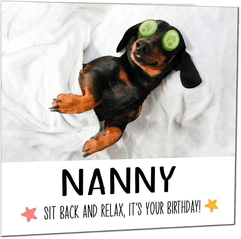 Funny Dachshund Nanny Birthday Card with Luxury Envelope