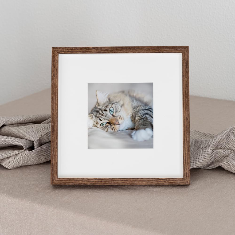 PicPrint 4x4 Glossy Photo Prints - Custom Square Prints Made to Order in the USA | Set of Ten