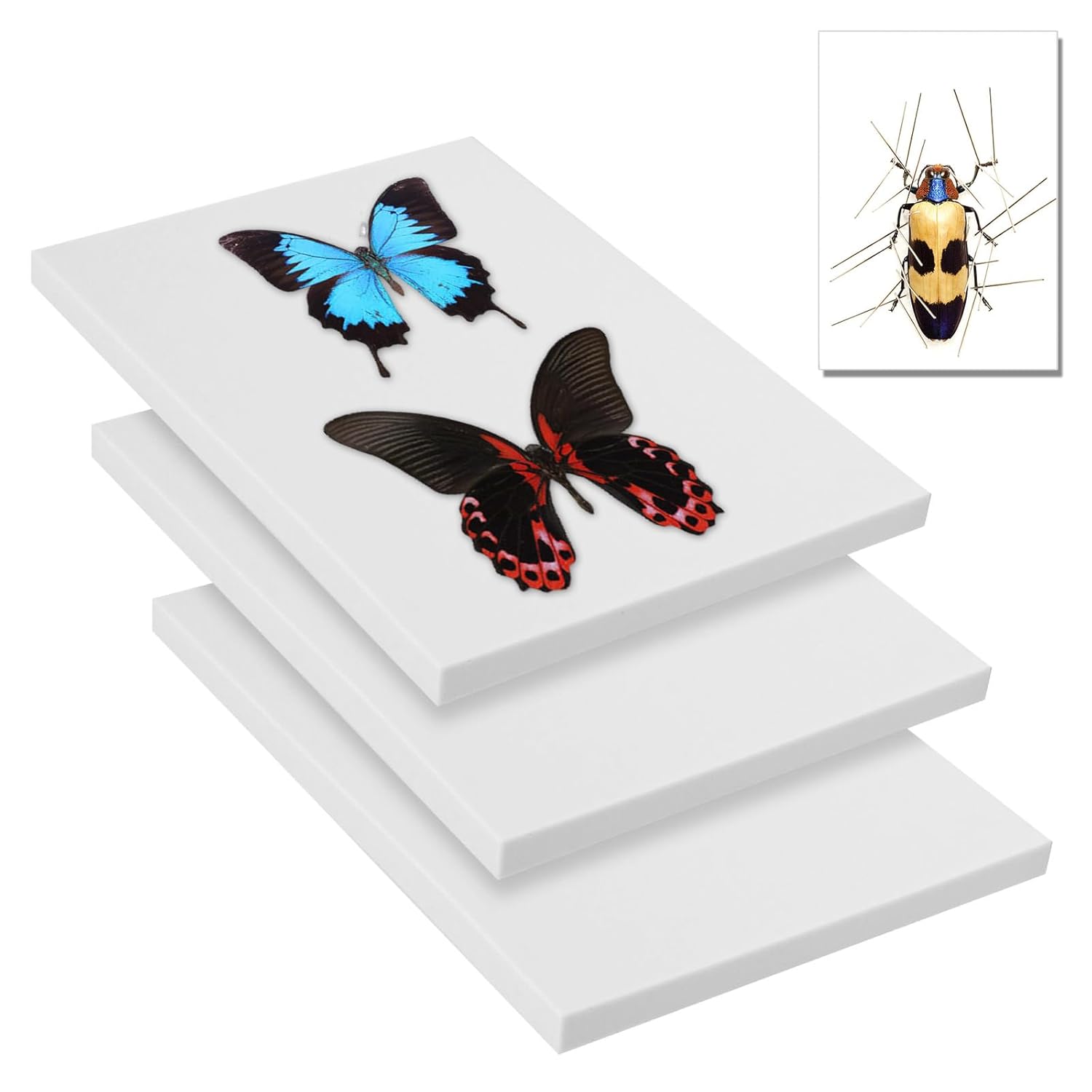 Saihisday Insect Pinning Board - 3Pcs EVA Foam Specimen Display Panel for Butterfly Collection