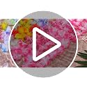 Suncalla 12-Piece Hawaiian Lei Garland Set - Pink and White Tropical Flowers