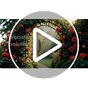HODASHI Red Peony Artificial Flower Garland Silk Hanging Vine for Wedding