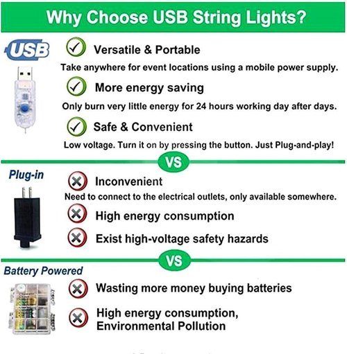 LiyuanQ 40 LED Photo Clip String Lights - Remote Control, 8 Modes for Indoor Decor | USB Operated, Warm White