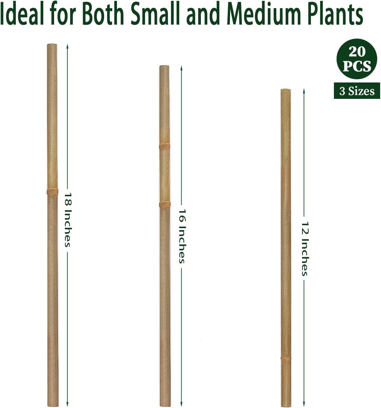 BOVITRO 12-Inch Natural Bamboo Plant Stakes - 20 Pcs Support for Tomatoes, Beans & Potted Plants