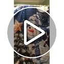 Blue Christmas Shower Curtain Set with Snowman Santa Holiday Bath Rugs & Hooks