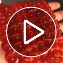 Red Cat Eye Stone Beads 8mm for Jewelry Making and Crafts
