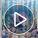 Pink Conch Shell Shower Curtain - Ocean Themed Waterproof Fabric 72x72