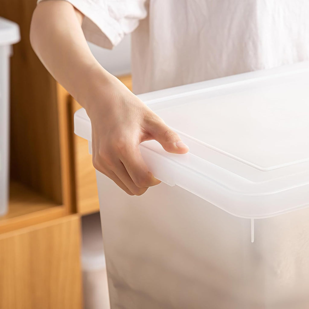 Skiennix 15 Quart Stackable Storage Bins - Organize Shoes & Crafts | 2 Pack with Lids