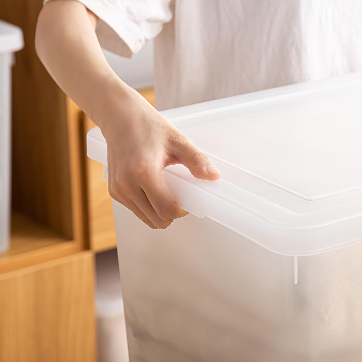 Skiennix 15 Quart Stackable Storage Bins - Organize Shoes & Crafts | 2 Pack with Lids