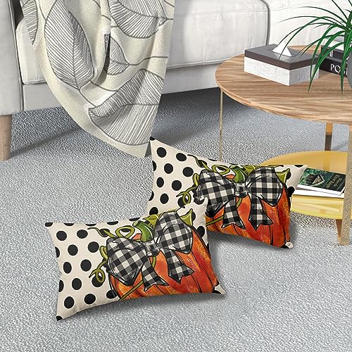 Sweetshow Fall Lumbar Pillow Covers 12x20, Orange Pumpkin Throw Set of 2