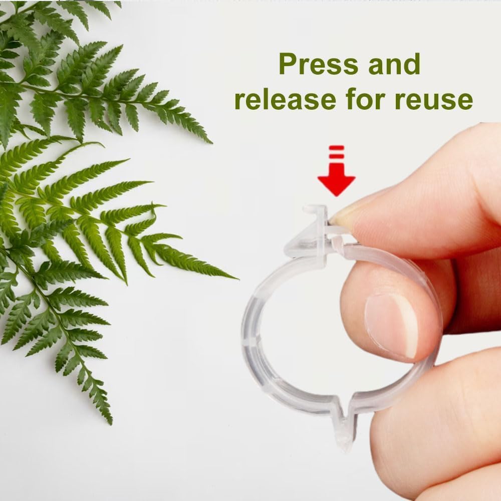 Skiennix Plant Support Clips - Reusable Green Clips for Tomato & Climbing Plants | 50 Pack