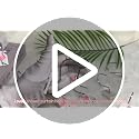 12 Pcs Pink Flamingo Shower Curtain Hooks - Waterproof Bathroom Decor