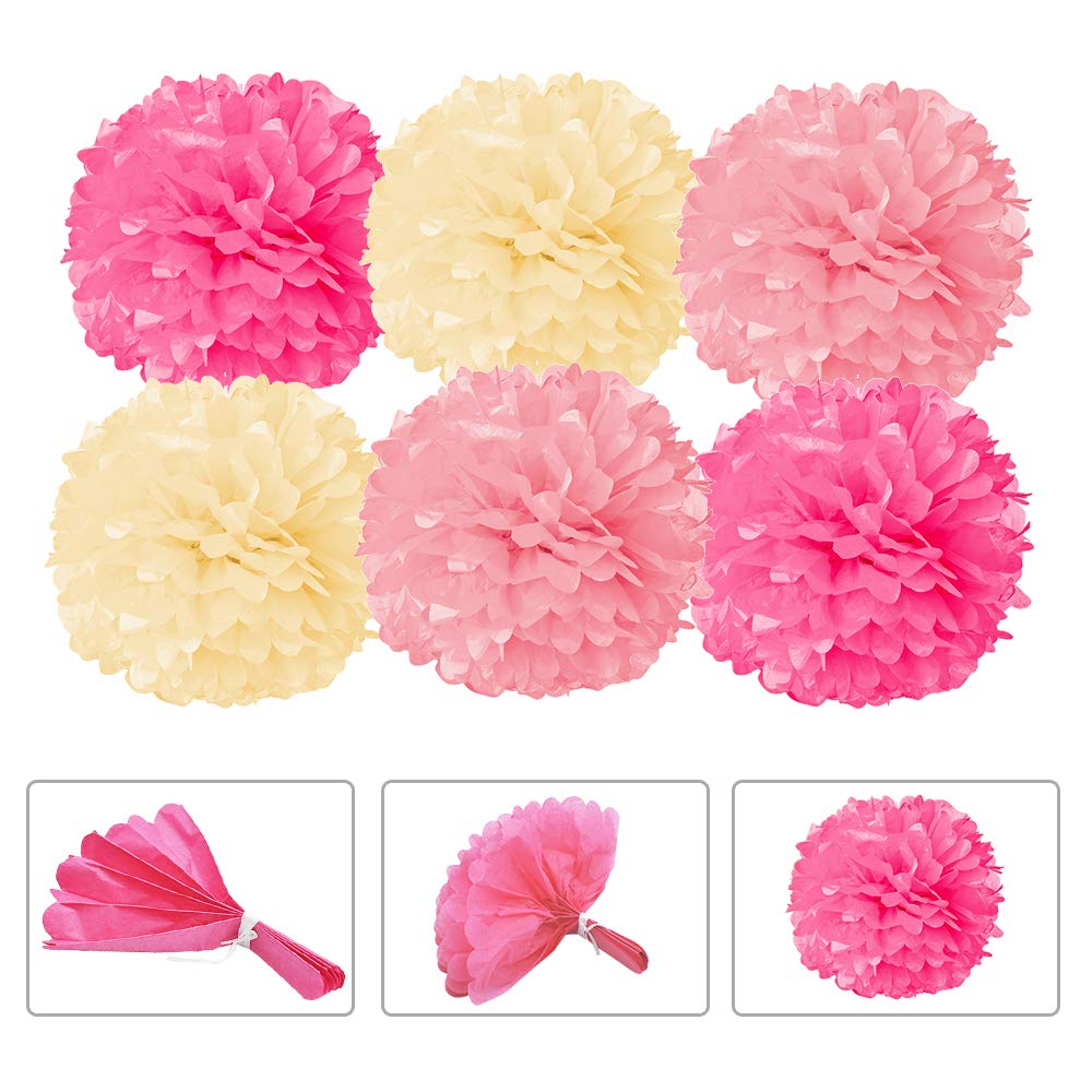 JOYIN 1st Girl Birthday Supplies Decoration Wild Set (Happy Banners, Hat, Foil Balloon Confetti Balloon, Cake Topper, Plates, Cups, Napkins, Tableware, Pom-poms Balls) for One Baby First Bday Party.