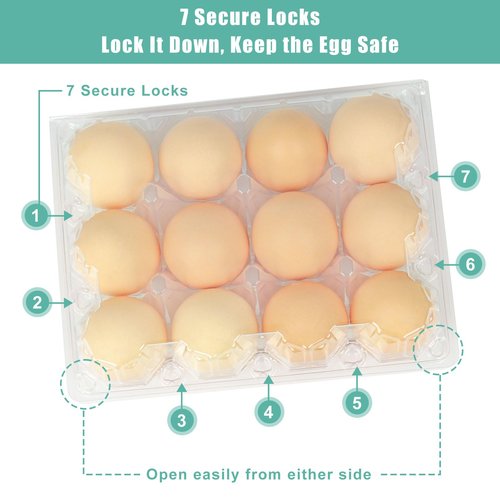 SINLUCESCE 50 Packs Egg Cartons Cheap Bulk，Plastic for 12 Eggs， Clear Egg Cartons 3 * 4 Grids，Perfect for Refrigerator Chicken Farm Markets Commercial Business Market Display
