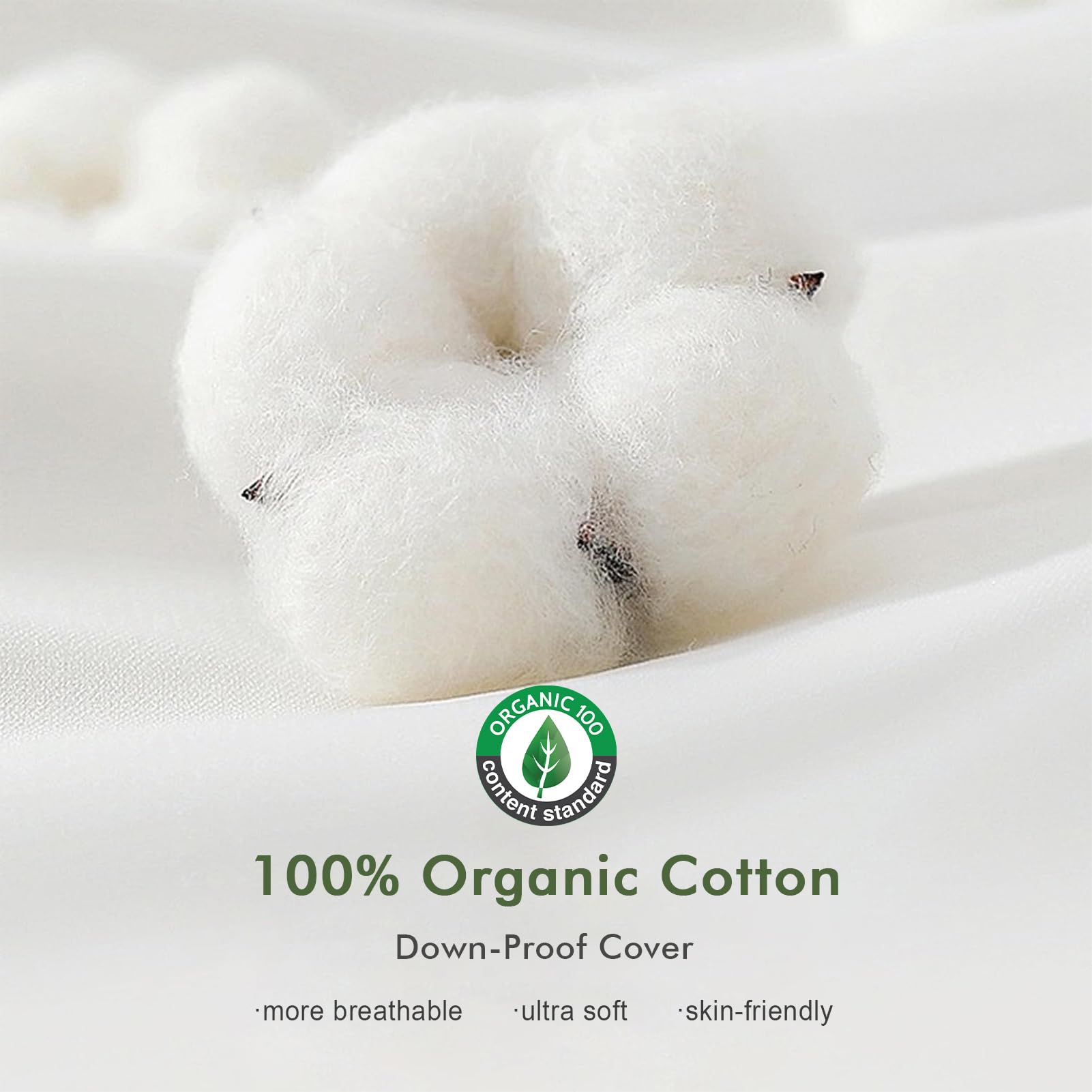 TOPGREEN Feathers Down Throw Pillow Inserts 28x28, Set of 2, 100% Organic Cotton Shell, Soft Decorative Euro Pillow Insert for Living Room Sofa, Couch, or Bed (White)
