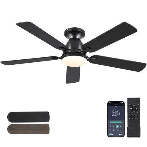 Mpayel Ceiling Fans with Lights, 52 Inch Flush Mount Ceiling Fan with Light and Remote, Low Profile Black Ceiling Fan for Bedroom Living Room, Quiet DC Motor, Reversible, Dimmable LED, Black