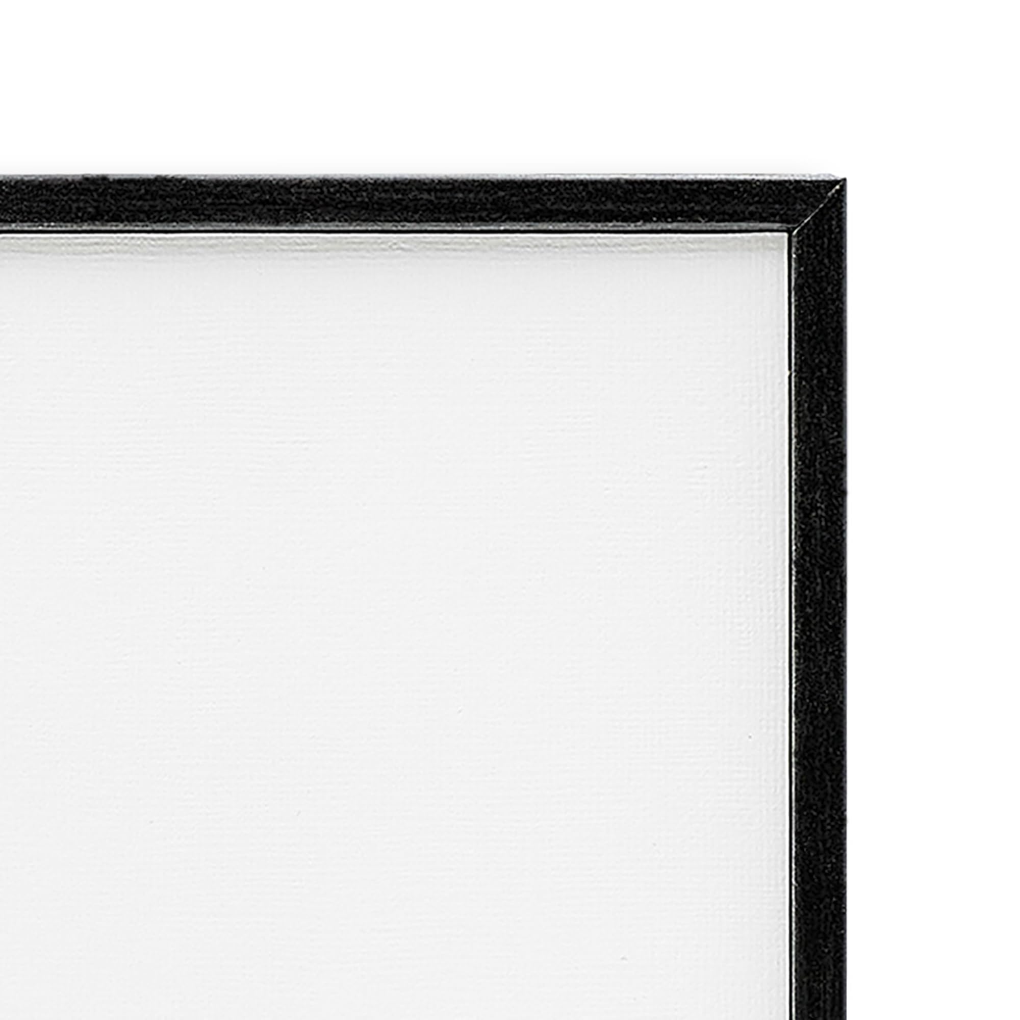 Stupell Industries 'Toilet Paper Cotton Delivery Truck', Framed Giclee Art, Black, 16 x 20 Inches, Easy to Hang and Sturdy, Made in USA, by Lettered and Lined