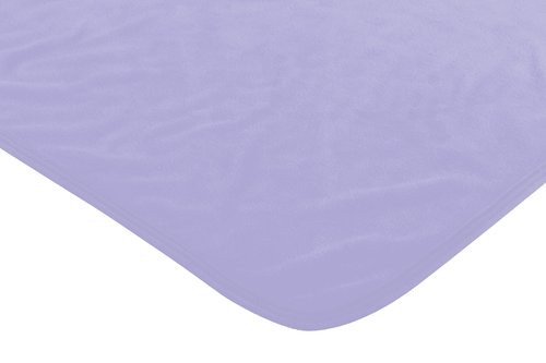 Northwest Fairies Micro Raschel Throw Blanket, 46" x 60", Pixies Rule