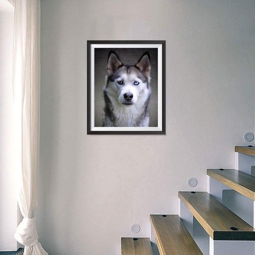 EzPosterPrints - Custom Poster Print - Upload Your Image for Personalized 16x16 Photo Prints