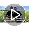 Back to the Roots Organic Sweet Basil Seed Packet - Non-GMO