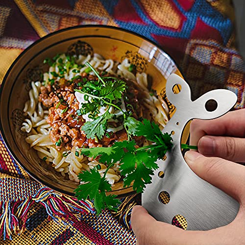 Stainless Steel Herb Stripper Tool with 10 Holes for Kitchen Use