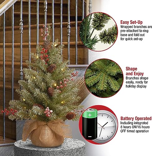 2ft Pre-Lit Artificial Christmas Tree with Flocked Branches and LED Lights