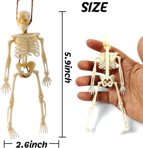 GXXMEI Mini Skeleton Figurines - 12PCS 6-Inch Halloween Decorations for Craft & Party Favors