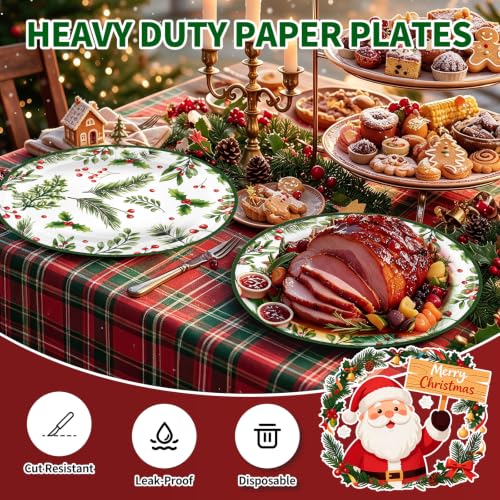 Christmas Oval Paper Plates and Napkins Set 50 Pcs - Holiday Party Supplies