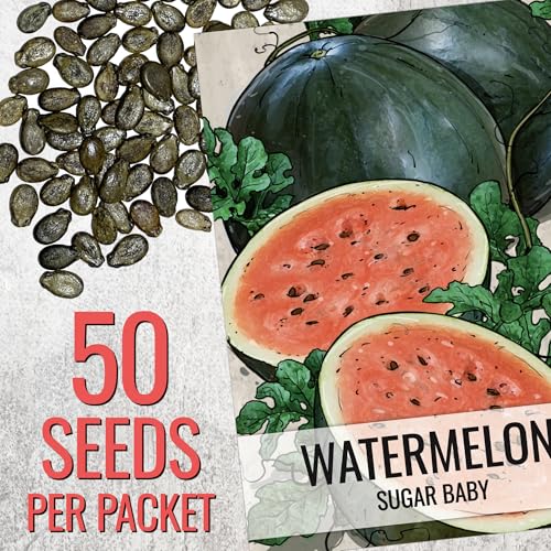 Sugar Baby Watermelon Seeds - Heirloom, Non-GMO, 1 Pack