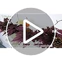 Purple Fall Garland with 30 Lights & Timer 6Ft Autumn Decor