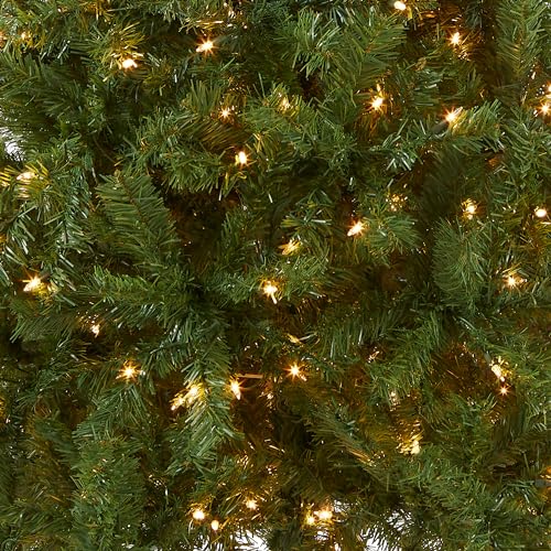 National Tree Company 6ft Pre-Lit Artificial Kincaid Spruce Christmas Tree - Tree Variation