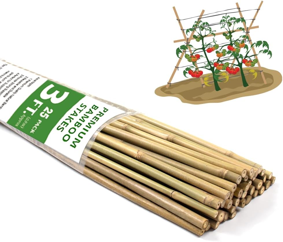 BOVITRO Bamboo Stakes - 3FT Natural Plant Supports for Tomatoes, Beans & Climbing Vegetables | 25 Pcs
