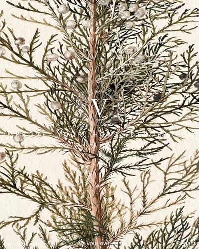 Vodefoad Vintage Cypress Tree Christmas Wall Art - 8x10 Unframed