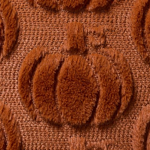 DFXSZ Rust Fall Pumpkin Throw Pillow Covers, 18x18 Soft Plush Set of 2