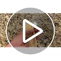 Lagincig 1000PCS Bamboo Coffee Stir Sticks - 5.5" Eco-Friendly Mixers