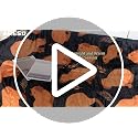 Axolotl Blanket - Soft Flannel Throw for Kids & Adults, 40x50 Inch