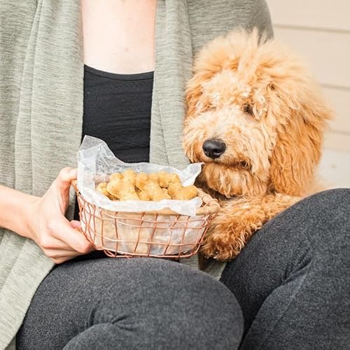 Nordic Ware Formed Puppy Love Treat Pan, 16 Cavities, Twilight Blue