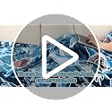 Glow in the Dark Shark Blanket for Kids - Soft Toddler Throw 40"x60"