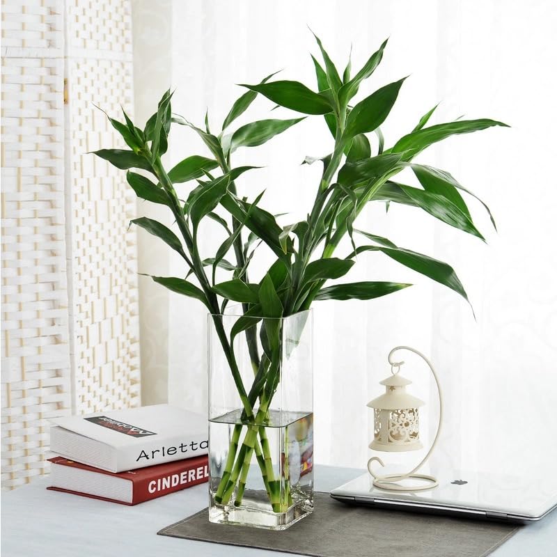 Clear Acrylic Cylinder Vase - Durable Decorative Centerpiece 3.94"x7.87"