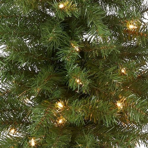 4ft Pre-Lit Montclair Spruce Christmas Entrance Tree - Artificial Holiday Tree