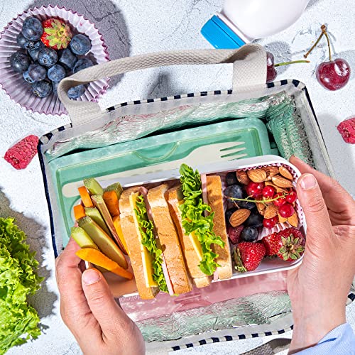 Daixers Insulated Lunch Bag - Reusable Thermal Lunch Tote, Striped Blue
