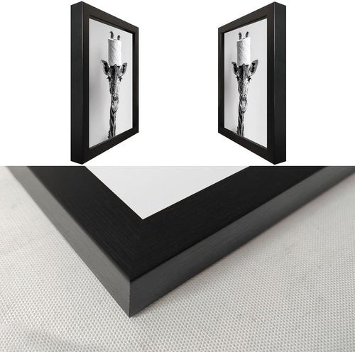 Funny Animal Wall Art - Giraffe with Toilet Paper Roll | Black and White Bathroom Decor, Framed Canvas