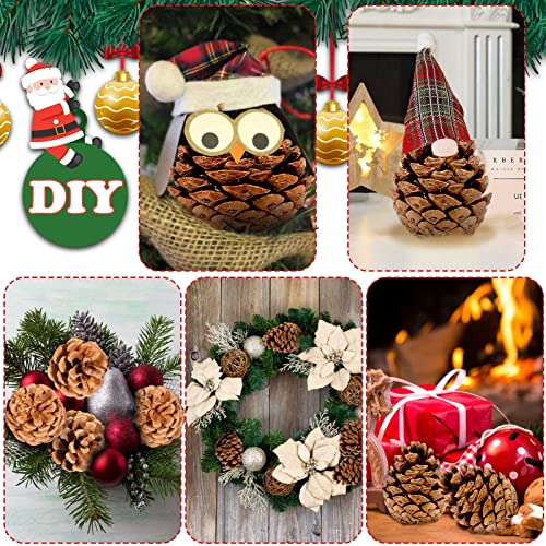 Natural Pine Cones for Christmas Crafts & Decorations - 24 Pack, 1.57-1.96 Inch, Variation: Nature