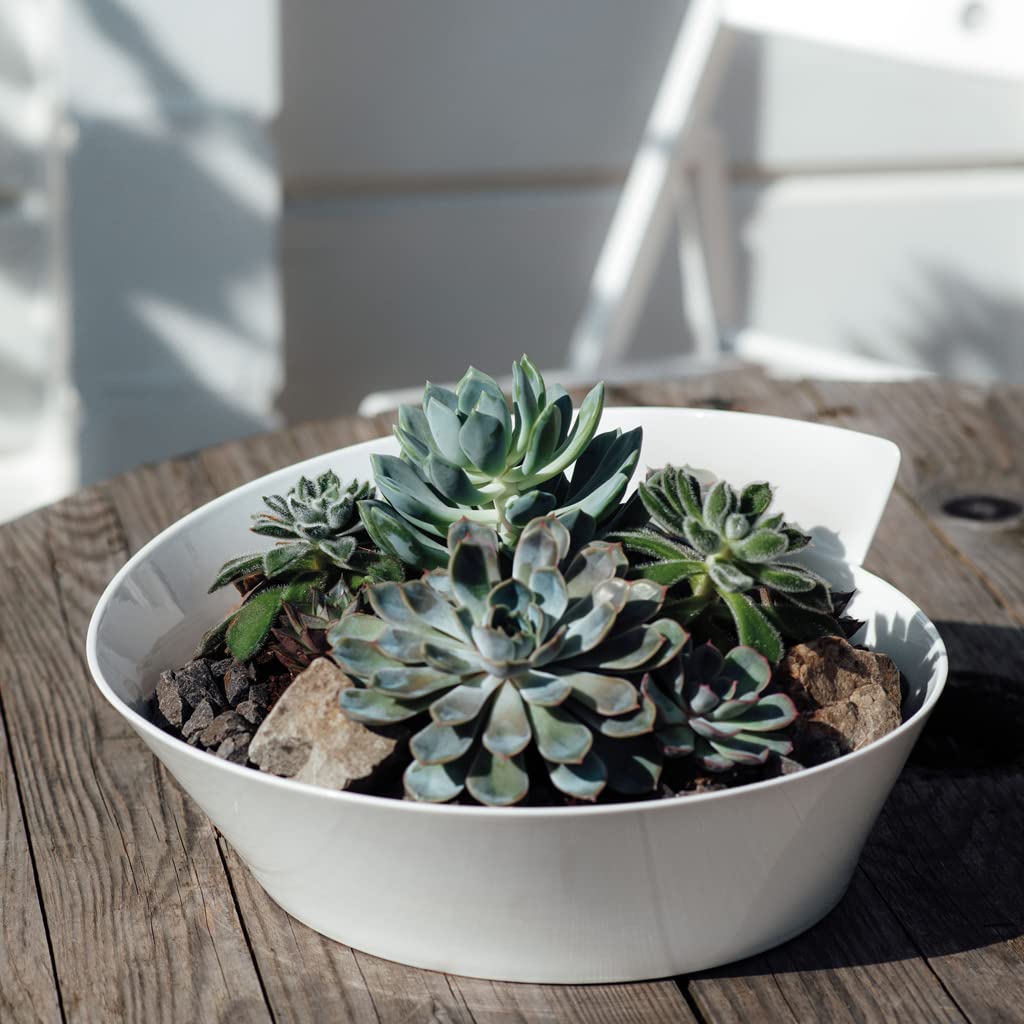 Villeroy & Boch NewWave Collection Large Round Serving Bowl, Premium Porcelain, Made in Germany, 94.5 oz Capacity, 13.5 in Diameter, 5.6 in Tall, Rich, Creamy White